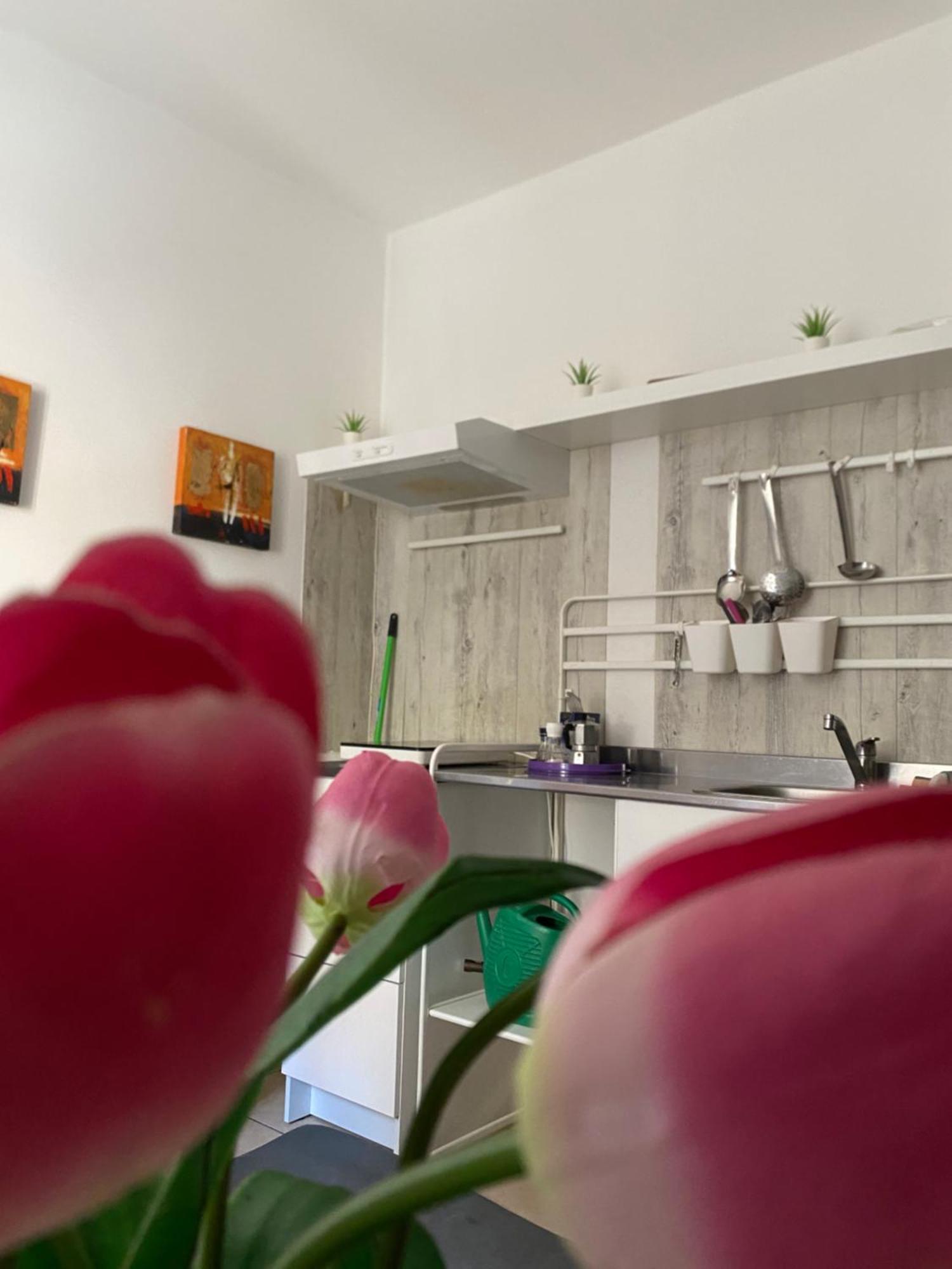 B&B Regina Carolina Caltagirone Εξωτερικό φωτογραφία